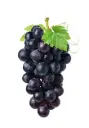 Black Grapes