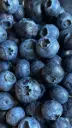 Blueberries