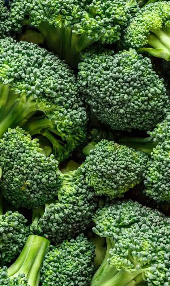 Broccoli