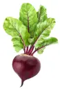 Beetroot